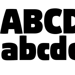 Absolut Pro Black reduced Font File