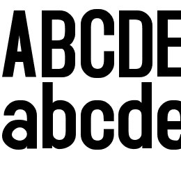 Accidental Presidency Font File