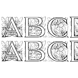 Acorn Initials Font File