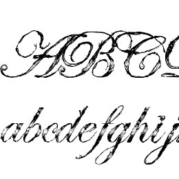 Antatomy Antatomy Font File