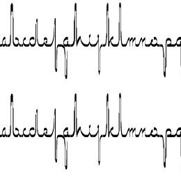 ECG saji Font File