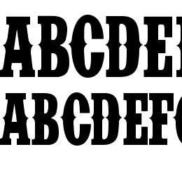 IFC INSANE RODEO Font File