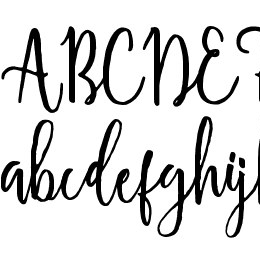 Shellahera Script Demo Font File