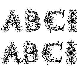 VespasiansFlorials Font File